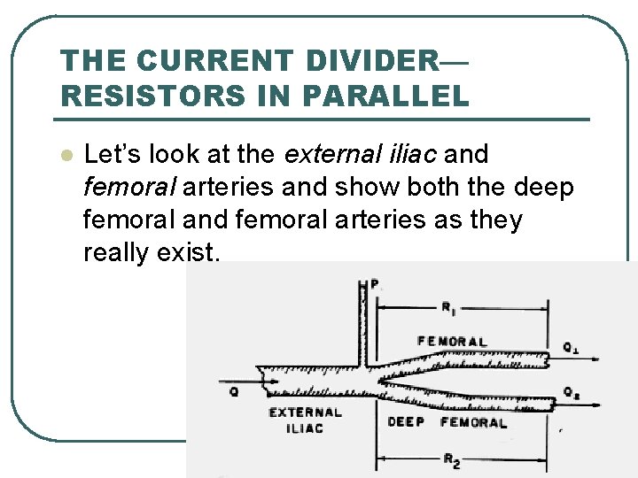 THE CURRENT DIVIDER— RESISTORS IN PARALLEL l Let’s look at the external iliac and