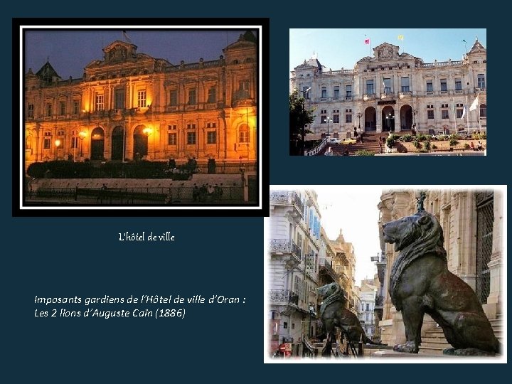 L’hôtel de ville Imposants gardiens de l’Hôtel de ville d’Oran : Les 2 lions