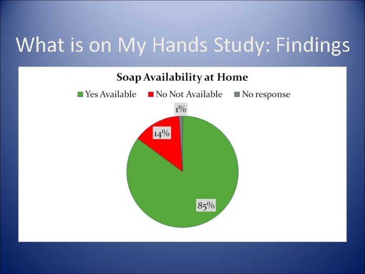 What is on My Hands Study: Findings 