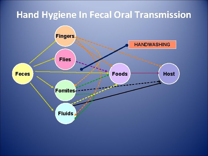 Hand Hygiene In Fecal Oral Transmission Fingers HANDWASHING Flies Feces Foods Fomites Fluids Host