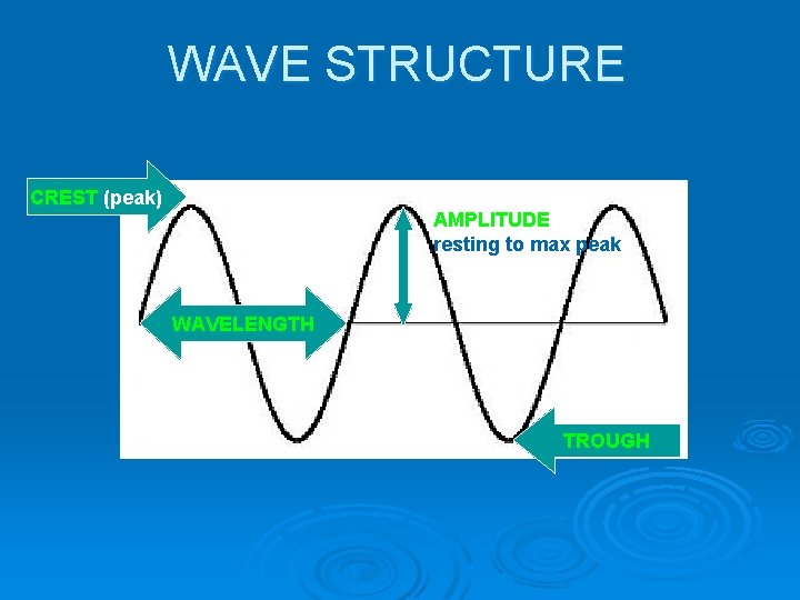 WAVE STRUCTURE CREST (peak) AMPLITUDE resting to max peak WAVELENGTH TROUGH 