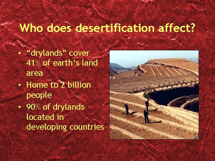 Who does desertification affect? • “drylands” cover 41% of earth’s land area • Home