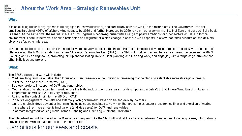 About the Work Area – Strategic Renewables Unit Why: It is an exciting but