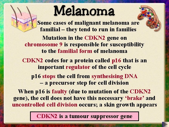 Some cases of malignant melanoma are familial – they tend to run in families