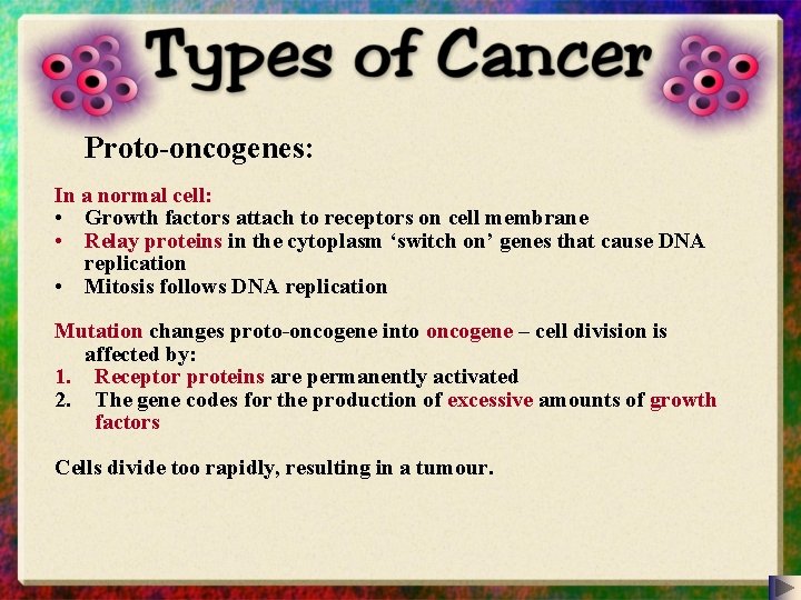 Proto-oncogenes: In a normal cell: • Growth factors attach to receptors on cell membrane