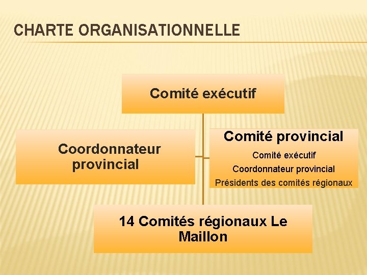 CHARTE ORGANISATIONNELLE Comité exécutif Coordonnateur provincial Présidents des comités régionaux 14 Comités régionaux Le