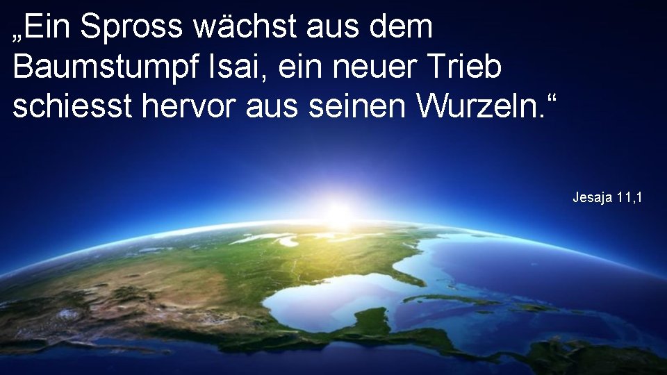 „Ein Spross wächst aus dem Baumstumpf Isai, ein neuer Trieb schiesst hervor aus seinen