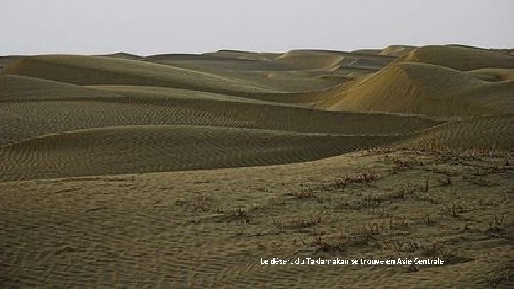 Le désert du Taklamakan se trouve en Asie Centrale 