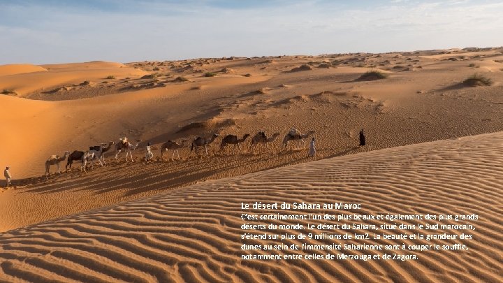 Le désert du Sahara au Maroc C’est certainement l'un des plus beaux et également