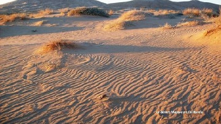 Le désert Mojave en Californie 