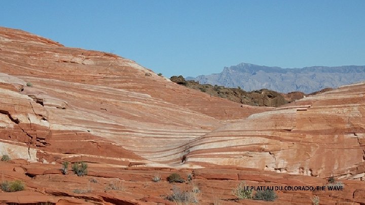 LE PLATEAU DU COLORADO, THE WAVE 