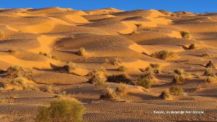 Tunisie, les dunes de Ksar Ghilane 