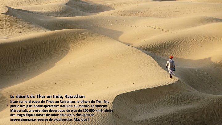 Le désert du Thar en Inde, Rajasthan Situé au nord-ouest de l’inde au Rajasthan,