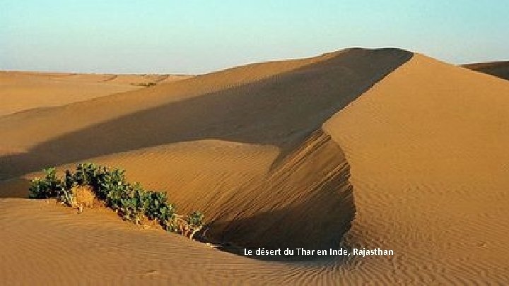 Le désert du Thar en Inde, Rajasthan 