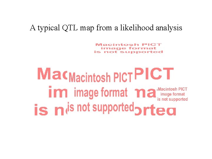 A typical QTL map from a likelihood analysis 
