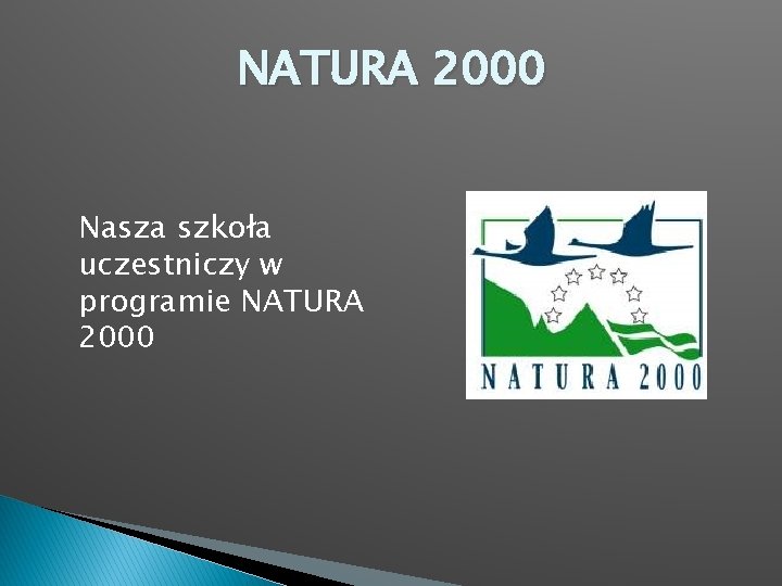 NATURA 2000 Nasza szkoła uczestniczy w programie NATURA 2000 