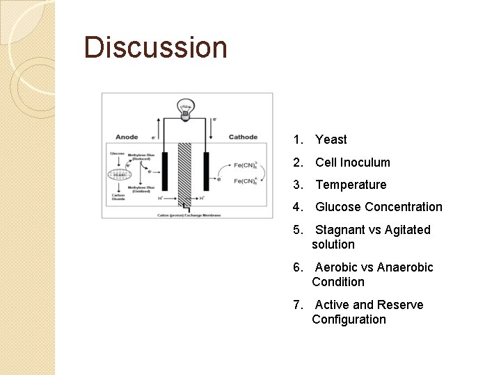 Discussion 1. Yeast 2. Cell Inoculum 3. Temperature 4. Glucose Concentration 5. Stagnant vs
