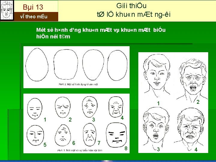 Giíi thiÖu tØ lÖ khu «n mÆt ng êi Bµi 13 vÏ theo mÉu