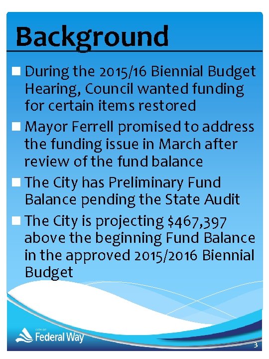 Background n During the 2015/16 Biennial Budget Hearing, Council wanted funding for certain items