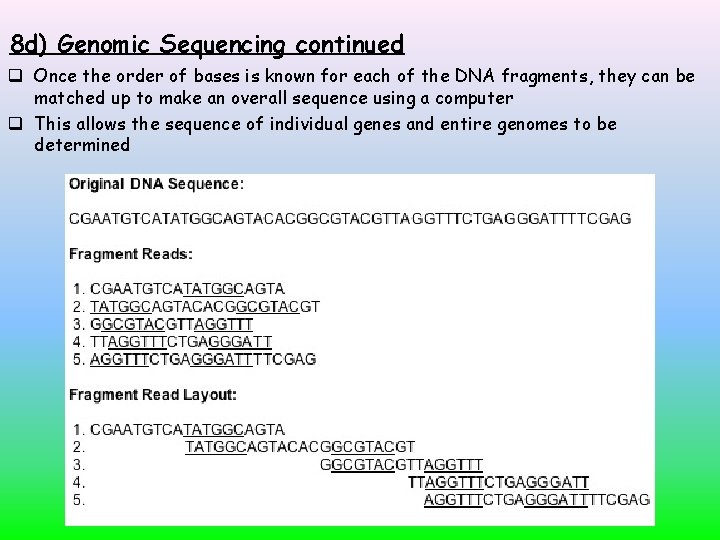 8 d) Genomic Sequencing continued Once the order of bases is known for each