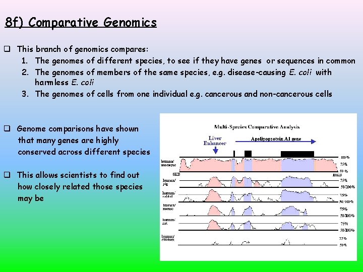 8 f) Comparative Genomics This branch of genomics compares: 1. The genomes of different