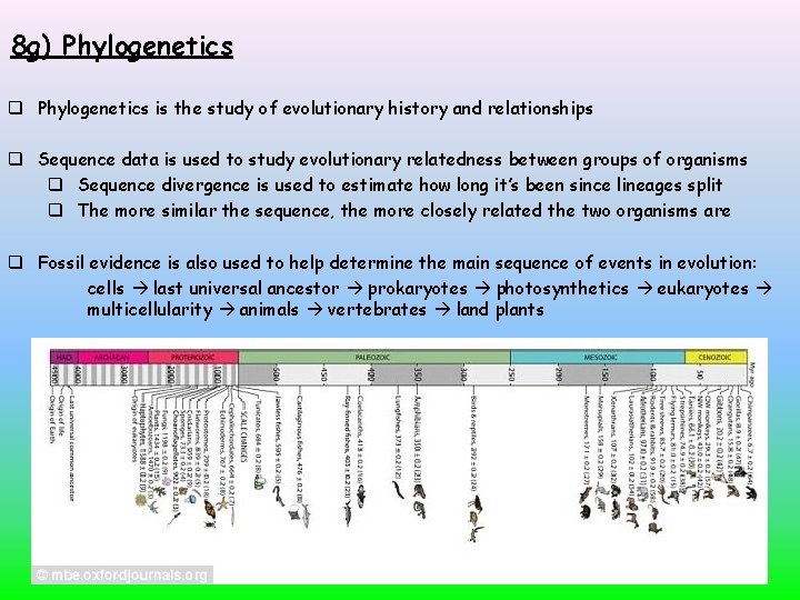 8 g) Phylogenetics is the study of evolutionary history and relationships Sequence data is