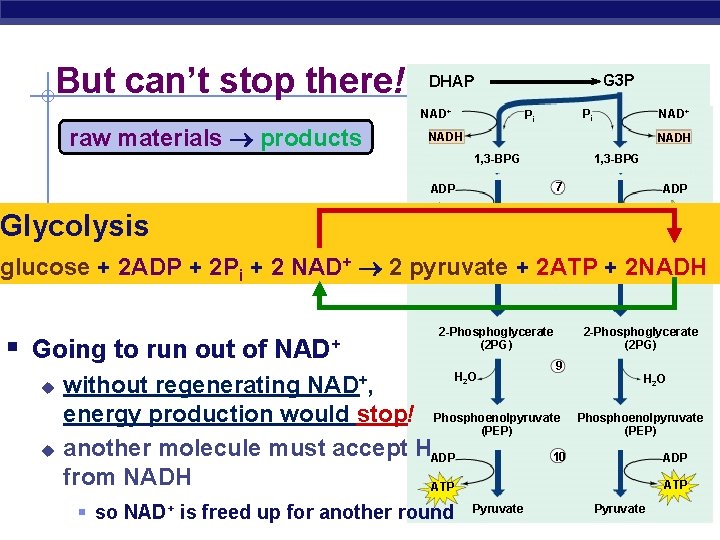 But can’t stop there! G 3 P DHAP NAD+ raw materials products Pi +