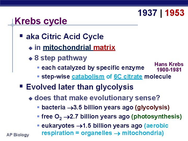Krebs cycle 1937 | 1953 § aka Citric Acid Cycle in mitochondrial matrix u