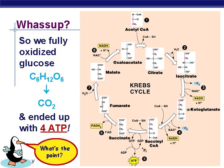 Whassup? So we fully oxidized glucose C 6 H 12 O 6 CO 2