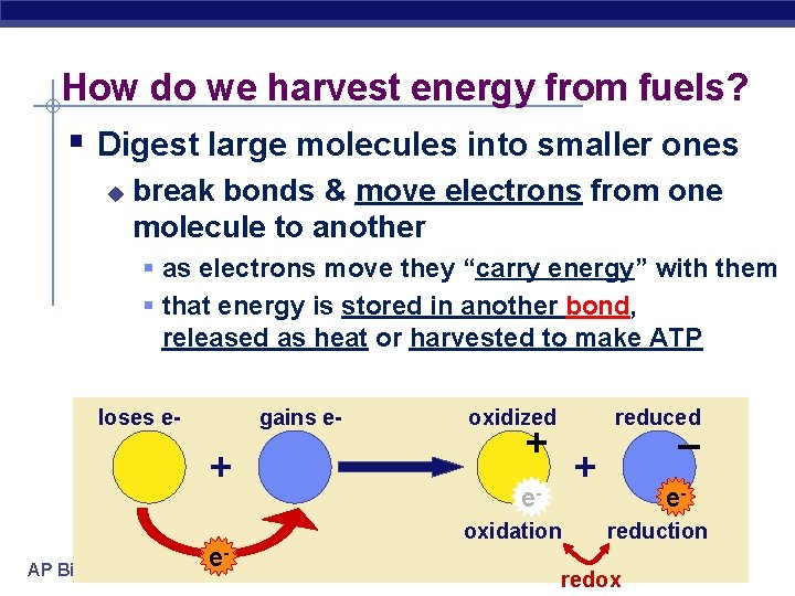 How do we harvest energy from fuels? § Digest large molecules into smaller ones