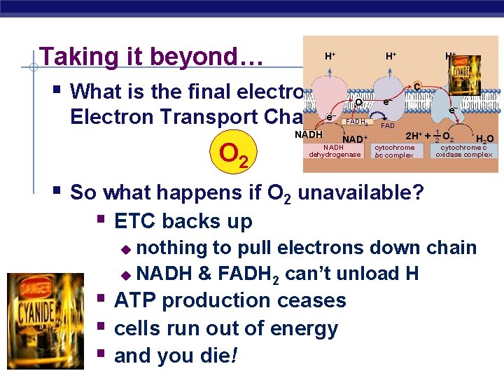 Taking it beyond… § What is the final electron acceptor in H+ H+ H+