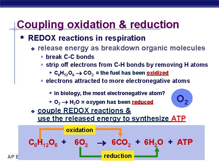 Coupling oxidation & reduction § REDOX reactions in respiration u release energy as breakdown