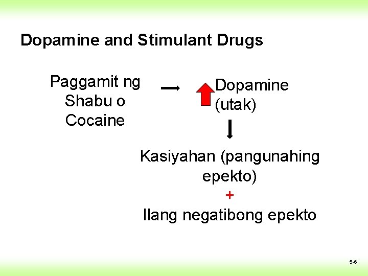 Dopamine and Stimulant Drugs Paggamit ng Shabu o Cocaine Dopamine (utak) Kasiyahan (pangunahing epekto) Dopamine and Stimulant Drugs Paggamit ng Shabu o Cocaine Dopamine (utak) Kasiyahan (pangunahing epekto)