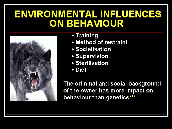 ENVIRONMENTAL INFLUENCES ON BEHAVIOUR • Training • Method of restraint • Socialisation • Supervision