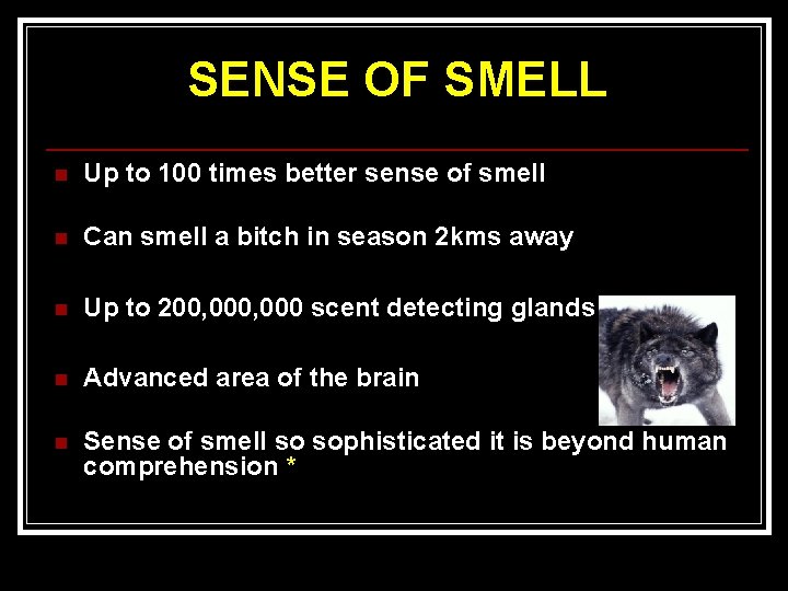 SENSE OF SMELL n Up to 100 times better sense of smell n Can