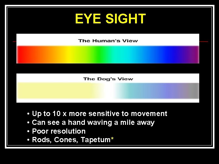 EYE SIGHT • Up to 10 x more sensitive to movement • Can see