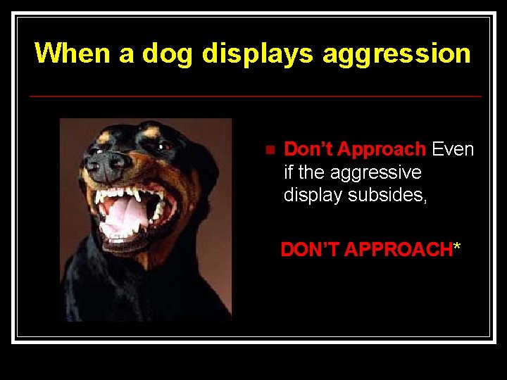 When a dog displays aggression n Don’t Approach Even if the aggressive display subsides,