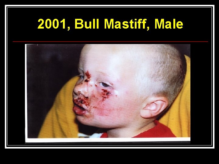 2001, Bull Mastiff, Male 