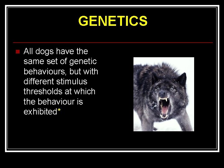 GENETICS n All dogs have the same set of genetic behaviours, but with different