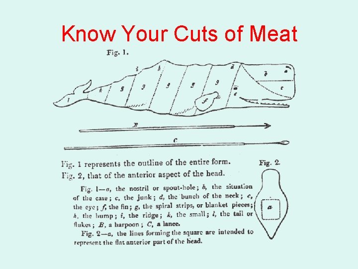 Know Your Cuts of Meat 