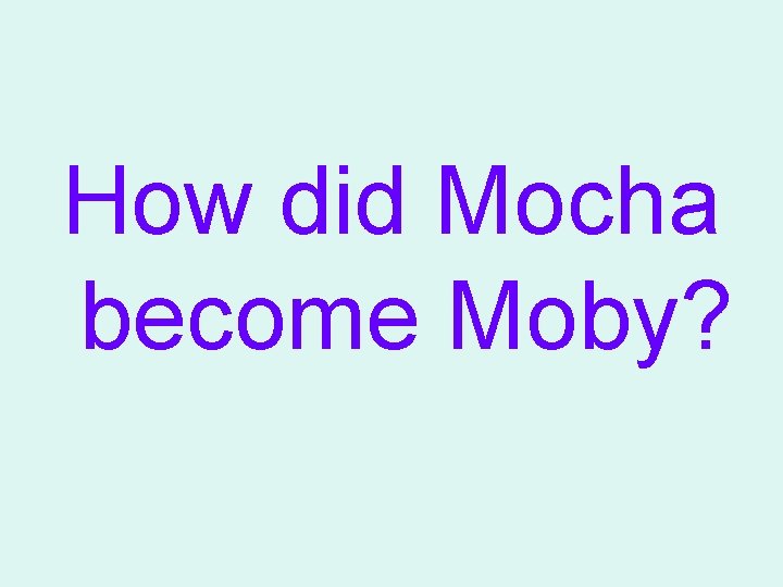 How did Mocha become Moby? 