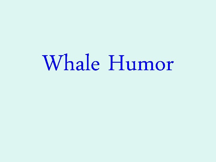 Whale Humor 