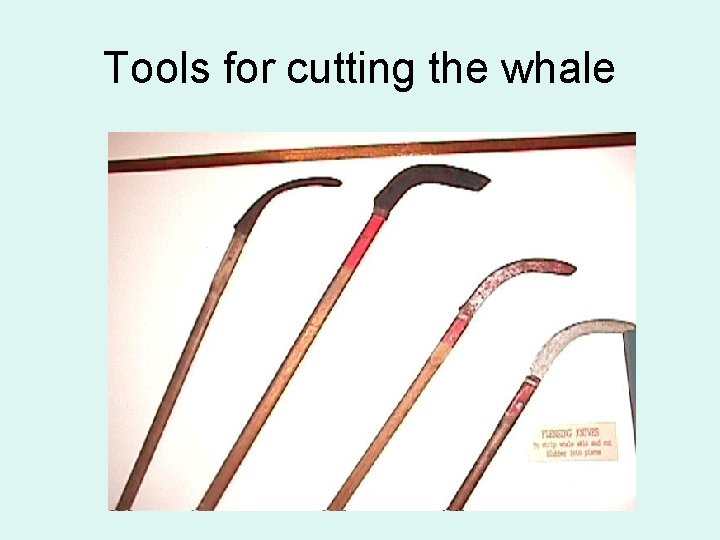 Tools for cutting the whale 