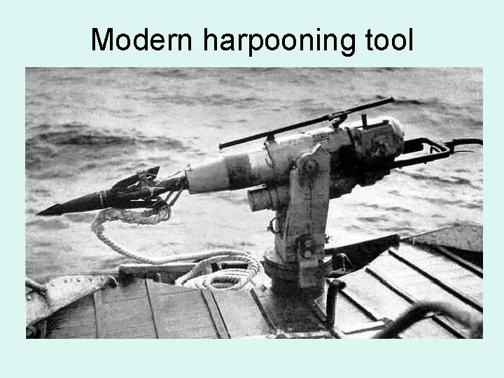 Modern harpooning tool 