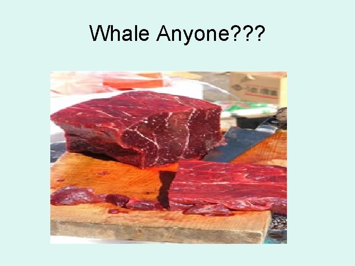 Whale Anyone? ? ? 