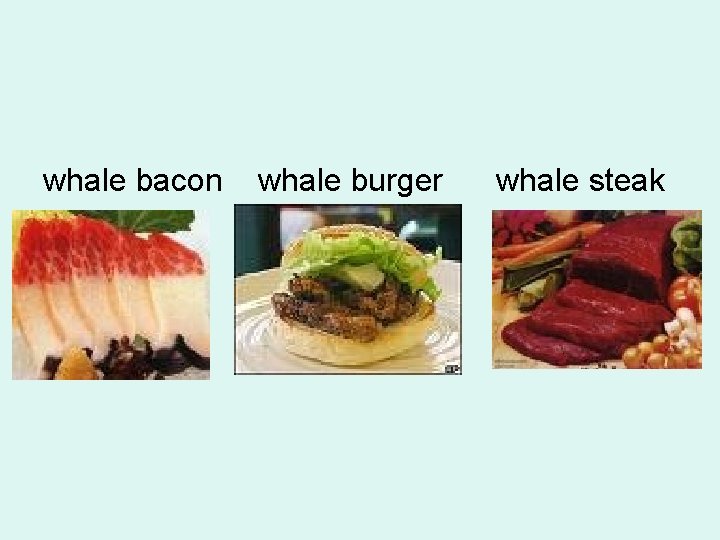 whale bacon whale burger whale steak 