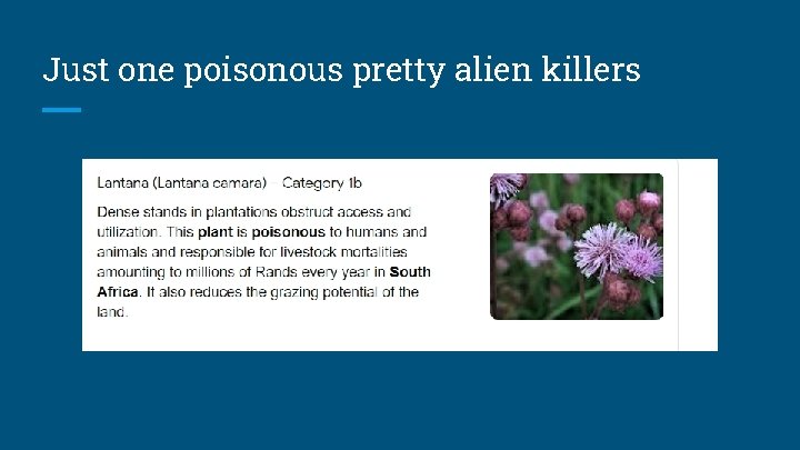 Just one poisonous pretty alien killers 