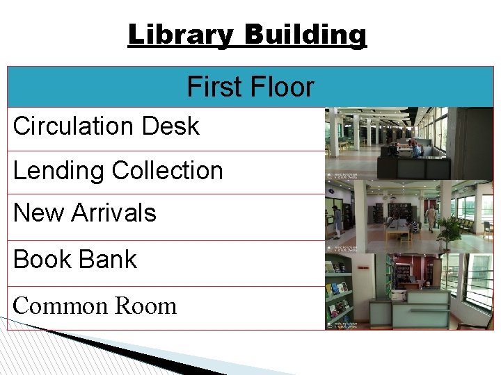 Library Building First Floor Circulation Desk Lending Collection New Arrivals Book Bank Common Room