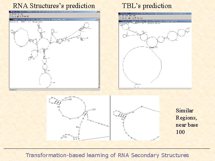 RNA Structures’s prediction TBL’s prediction Similar Regions, near base 100 Transformation-based learning of RNA