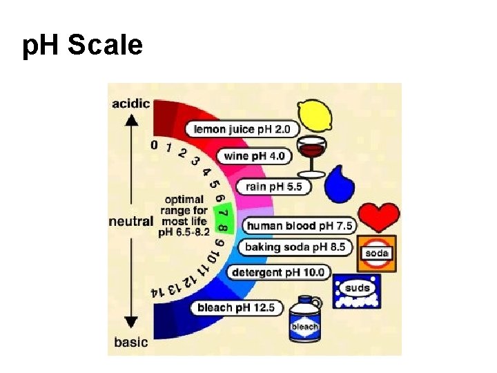p. H Scale 